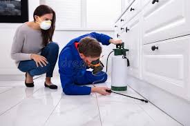 Best Indoor Pest Control  in Williams, CA